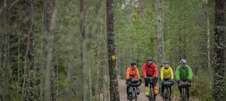 Neljä pyöräilijää metsätiellä