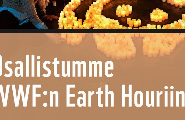 Kampanjakuva WWF:n Earth Hour-tapahtumasta