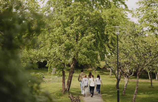 Nuorisojoukko kävelee poispäin kamerasta vehreässä kesämaisemassa.