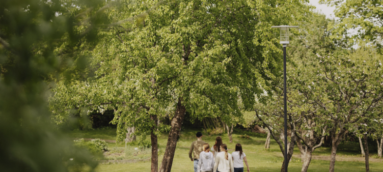 Nuorisojoukko kävelee poispäin kamerasta vehreässä kesämaisemassa.